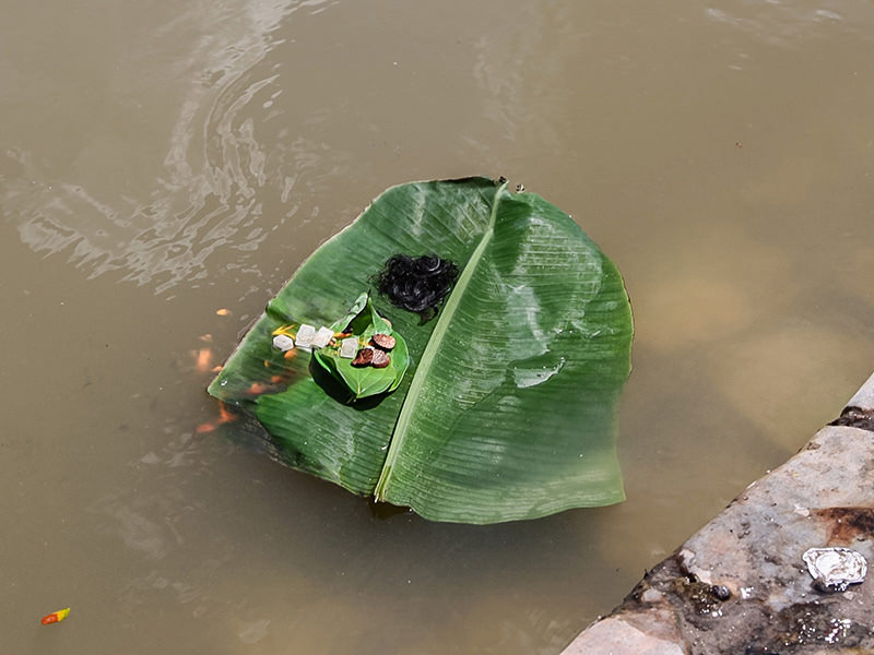 Photograph of a banana leaf floating in the river at Thaipusam carrying some human hair and some cubes set on fire, photo by Ivan Kralj