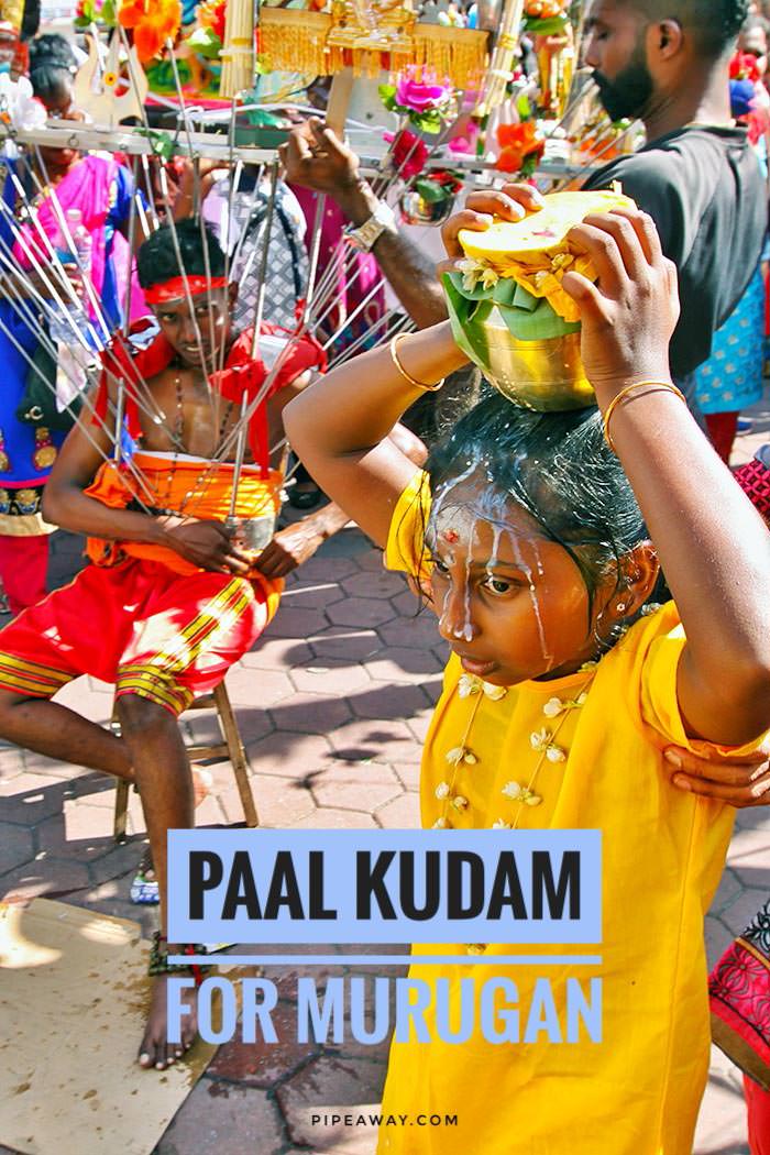 Paal Kudam is a jug of milk Tamil Hindu devotees carry atop their head in honor of Lord Murugan during Thaipusam. Read all you need to know about this unique festival of devotion and sacrifice!