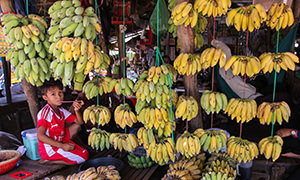 Boy in red sports dress sitting on the stand selling bananas at Phsar Krom market in Kampong Chhnang, Cambodia, photo by Ivan Kralj