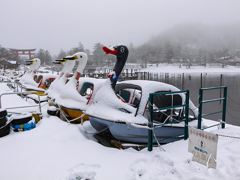 Snow-covered swan-shaped pedal boats at the shore of the Chuzenji Lake, Japan, photo by Ivan Kralj