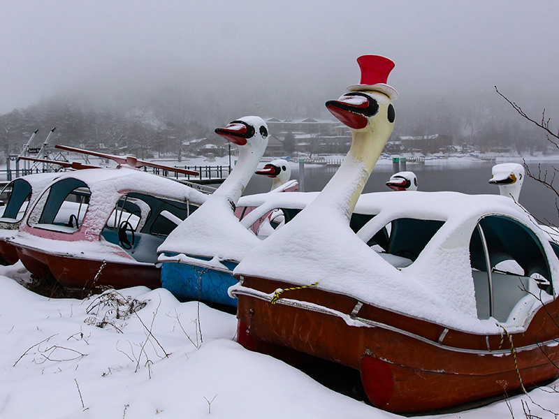 Snow-covered swan-shaped pedal boats at the shore of the Chuzenji Lake, Japan, photo by Ivan Kralj