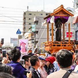 Penis-shaped mikoshis, portable shrines, being carried in the streets during the penis parade at Kanamara Matsuru, festival of the iron penis, in Kawasaki, Japan, photo by Ivan Kralj