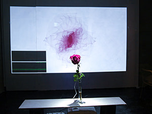 Futa Kera's digital artwork "Rose Curve" in which the rose is producing live drawing on the screen, in ART'n'SHELTER hostel in Tokyo, Japan, photograph by Ivan Kralj