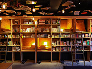 Bookshelf dormitory in Book and Bed hostel in Tokyo, Japan, photo by Ivan Kralj