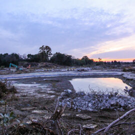 Ruins of the swimming pool at the site of the former amusement park Nara Dreamland in Nara, Japan, photo by Ivan Kralj