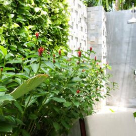 Outdoor rain shower in Junior Suite of Jaya House River Park hotel, in Siem Reap, Cambodia, photo by Ivan Kralj
