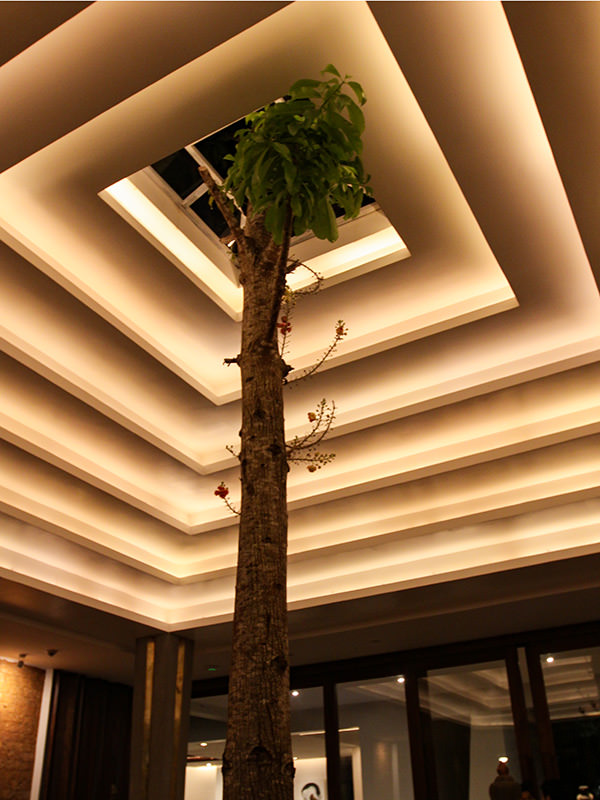 Tree growing through the roof of the restaurant of Jaya House River Park hotel, in Siem Reap, Cambodia, photo by Ivan Kralj