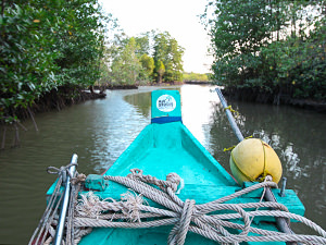 Man'Groove Guesthouse boat taking visitors for the sunset cruise, in Kampot, Cambodia, photo by Ivan Kralj.