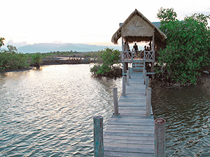 Bungalow on water with a dock, at Man'Groove Guesthouse in Kampot, Cambodia, photo by Ivan Kralj.