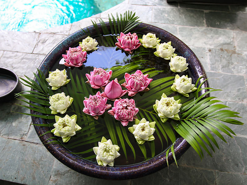 Lotus flower decoration in a bowl with fish at Rambutan Resort Phnom Penh, Cambodia, photo by Ivan Kralj