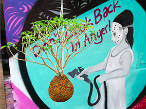 Kokedama plant hanging in front of the graffiti saying "Don't Look Back in Anger!" at Abrakadabra Artbnb, one of the best hostels of Java, in Yogyakarta, Indonesia, photo by Ivan Kralj