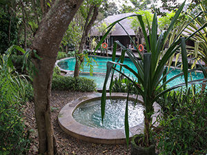 Swimming pool at Monsoon Lodge at Menjangan Resort, one of the answers to where to stay in Bali, Indonesia, photo by Ivan Kralj