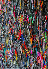 Colorful bracelets at the Killing Tree, at Killing Fields in Phnom Penh, where babies were being smashed during the Khmer Rouge regime, photo by Ivan Kralj