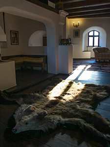 Bear skin rug in the salon of Bran Castle, also known as Dracula Castle, in Transylvania, Romania, photo by Ivan Kralj