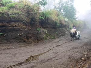 Miner pushing the cart loaded with 90 kilograms of sulfur down the volcano, with cart leaving visible trace due to the weight, Kawah Ijen Volcano, East Java, Indonesia, photo by Ivan Kralj