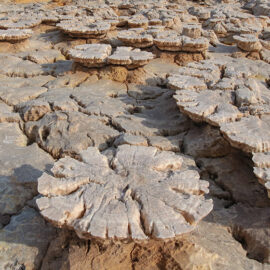 Unusual mushroom-shaped rock formations at Dallol, Danakil Depression, Ethiopia, the hottest place on Earth, photo by Ivan Kralj