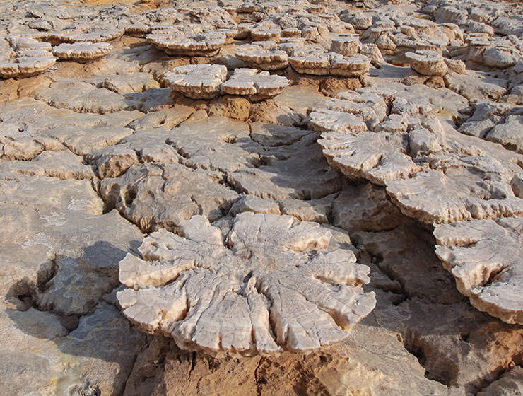 Unusual mushroom-shaped rock formations at Dallol, Danakil Depression, Ethiopia, the hottest place on Earth, photo by Ivan Kralj