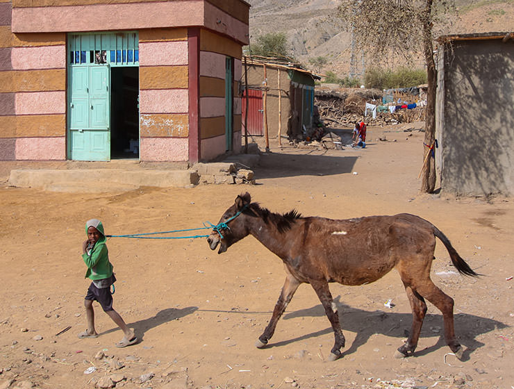 Village kid walking a donkey in Danakil Depression, Ethiopia, the hottest place on Earth, photo by Ivan Kralj