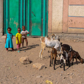 Village children with goats in Danakil Depression, Ethiopia, the hottest place on Earth, photo by Ivan Kralj