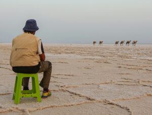 A man observing the camel caravans transporting the salt at the plains of Lake Assale, Danakil Depression, Ethiopia, the hottest place on Earth, photo by Ivan Kralj