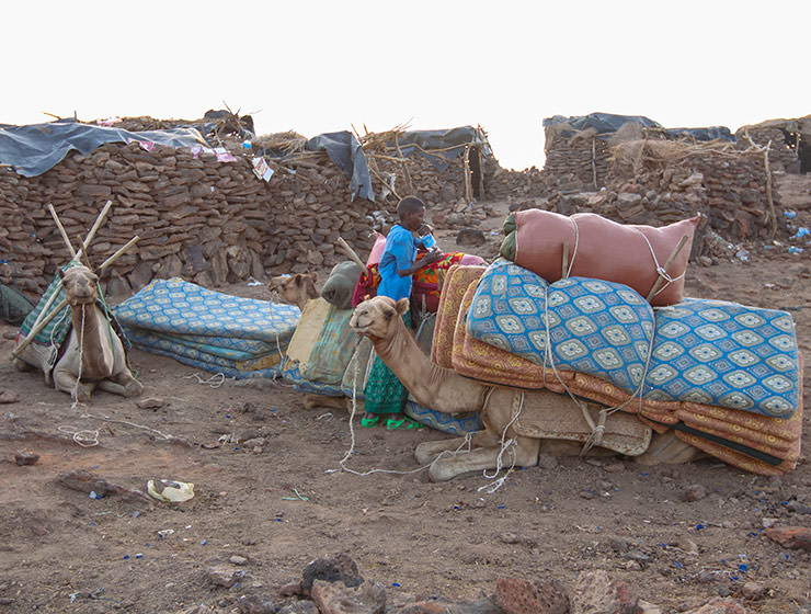 Camels loaded with mattresses resting at the summit of Erta Ale volcano in Danakil Depression, Ethiopia, the hottest place on Earth, photo by Ivan Kralj