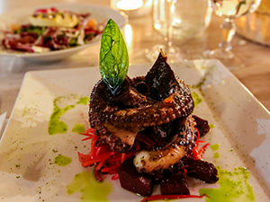 Octopus served with julienne vegetables, at Elia Restaurant in Kastalia Boutique Hotel in Delphi, center of the world, Greece, photo by Ivan Kralj