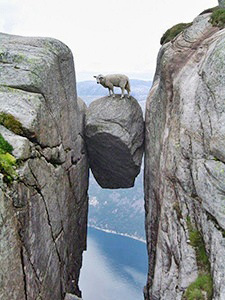 Sheep standing on Kjeragbolten, a famous boulder on Kjerag Mountain, Norway, photo by 7Ty9 - Flickr