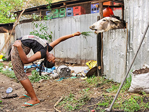 One of the "Circus of Postcards" postcard: Contortionist girl from Arba Minch Circus feeding a donkey in an unusual backbending pose, Arba Minch, Ethiopia, photo by Ivan Kralj