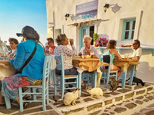 Cats sitting under the tables of a restaurant in Naoussa, Paros, Greece, photo by Ivan Kralj