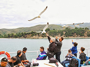 Men feeding seagulls on the ferry to Mount Athos, the Holy Mountain in Greece, photo by Ivan Kralj