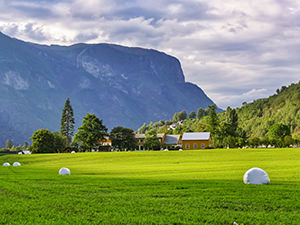 A green meadow with hay bales in Aurland, Norway, photo by Ivan Kralj