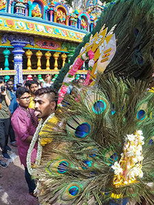 Devotee lolling his tongue out while dancing with peacock-feathers decorated Kavadi at Thaipusam Festival 2019, photo by Ivan Kralj