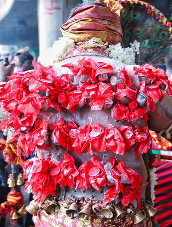 Devotee with pierced back skin at Thaipusam Festival 2019 at Batu Caves, Malaysia, photo by Ivan Kralj