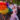 Participant in the white wedding dress in front of the rainbow-colored balloons at Chiang Mai Pride, gay parade in Chiang Mai, Thailand, photo by Ivan Kralj