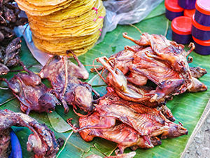 Rats and other rodents displayed on the Morning market in Luang Prabang, Laos, photo by Ivan Kralj