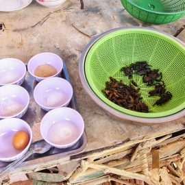 Ingredients needed for today's meal at Backstreet Academy's Fear Factor Challenge cooking class in Siem Reap, Cambodia, a country where they love eating insects, photo by Ivan Kralj