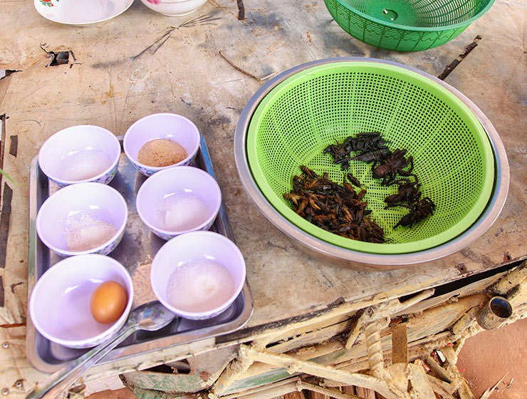 Ingredients needed for today's meal at Backstreet Academy's Fear Factor Challenge cooking class in Siem Reap, Cambodia, a country where they love eating insects, photo by Ivan Kralj