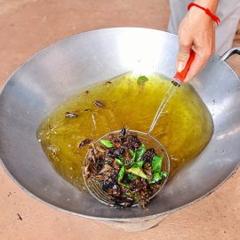 Crickets deep-frying in a wok at Backstreet Academy's Fear Factor Challenge, in Siem Reap, Cambodia, a country where they love eating insects, photo by Ivan Kralj
