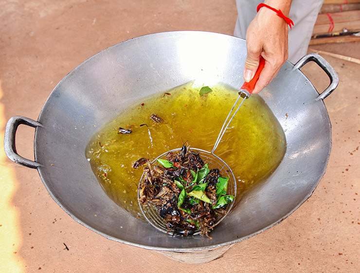 Crickets deep-frying in a wok at Backstreet Academy's Fear Factor Challenge, in Siem Reap, Cambodia, a country where they love eating insects, photo by Ivan Kralj