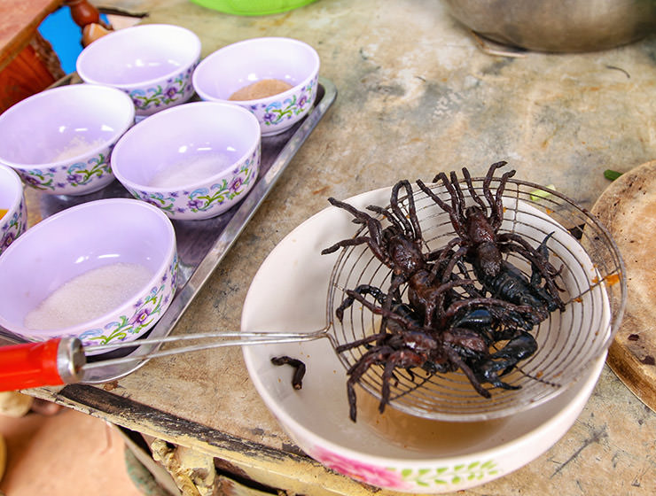 Tarantula spiders being strained before frying at Backstreet Academy's Fear Factor Challenge, in Siem Reap, Cambodia, a country where they love eating insects