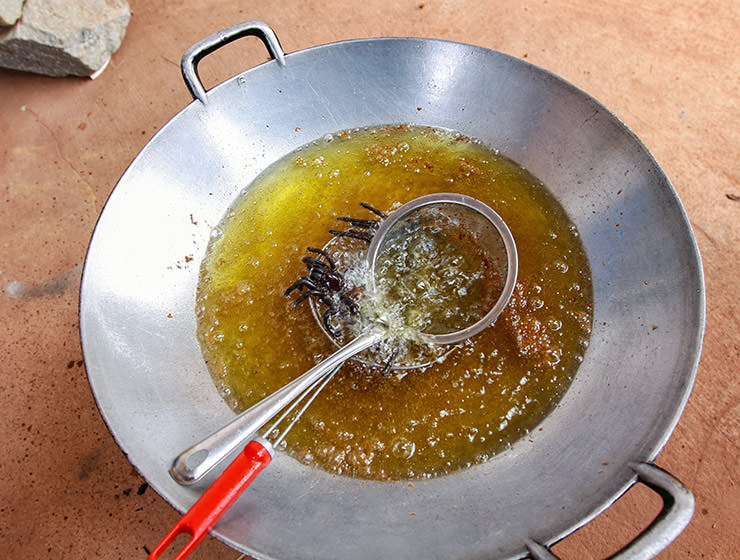 Tarantulas and scorpions deep-frying in a wok at Backstreet Academy's Fear Factor Challenge, in Siem Reap, Cambodia, a country where they love eating insects, photo by Ivan Kralj