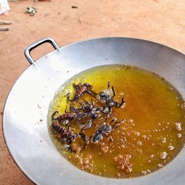 Tarantulas and scorpions deep-frying in a wok at Backstreet Academy's Fear Factor Challenge, in Siem Reap, Cambodia, a country where they love eating insects, photo by Ivan Kralj