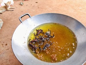 Tarantulas and scorpions deep-frying in a wok at Backstreet Academy's Fear Factor Challenge, in Siem Reap, Cambodia, a country where they love eating insects, photo by Ivan Kralj