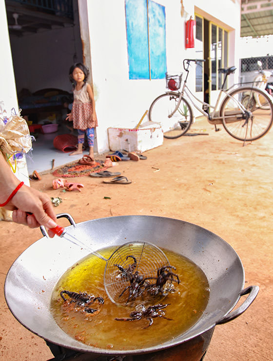 Tarantulas and scorpions deep-frying in a wok at Backstreet Academy's Fear Factor Challenge, in Siem Reap, Cambodia, a country where they love eating insects, photo by Ivan Kralj