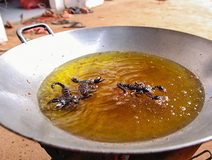 Scorpions deep-frying in a wok at Backstreet Academy's Fear Factor Challenge, in Siem Reap, Cambodia, a country where they love eating insects, photo by Ivan Kralj
