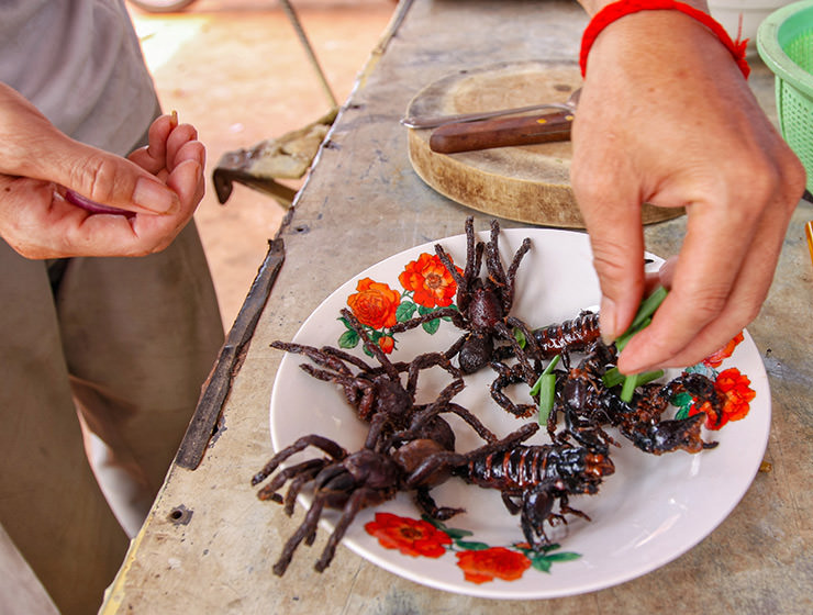 Tarantulas and scorpions on a plate being sprinkled with scallion, at Backstreet Academy's Fear Factor Challenge, in Siem Reap, Cambodia, a country where they love eating insects, photo by Ivan Kralj
