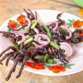 Tarantulas and scorpions served on a plate together with red onion and scallion, at Backstreet Academy's Fear Factor Challenge, in Siem Reap, Cambodia, a country where they love eating insects, photo by Ivan Kralj