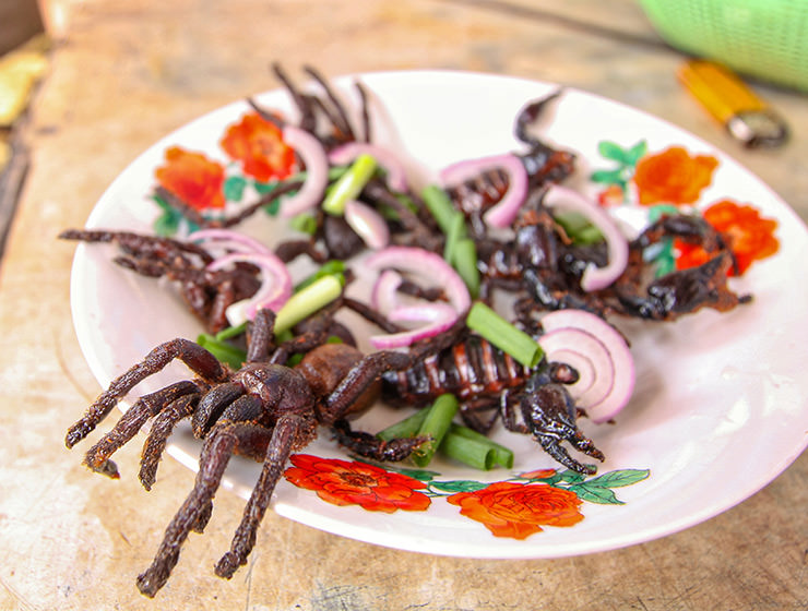 Tarantulas and scorpions served on a plate together with red onion and scallion, at Backstreet Academy's Fear Factor Challenge, in Siem Reap, Cambodia, a country where they love eating insects, photo by Ivan Kralj
