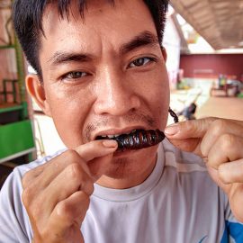 The host Ratana Ouch biting on a fried scorpion at Backstreet Academy's Fear Factor Challenge, in Siem Reap, Cambodia, photo by Ivan Kralj