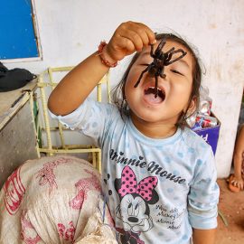 A three-year-old Sing eating a tarantula at Backstreet Academy's Fear Factor Challenge, in Siem Reap, Cambodia, photo by Ivan Kralj